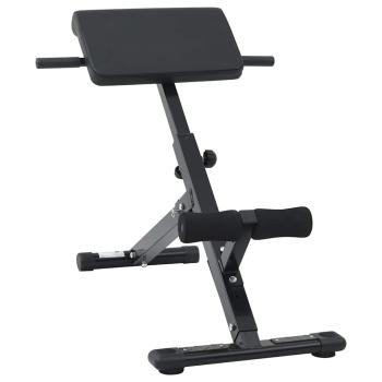 ARDEBO.de - Hyperextensionsbank 120 kg faltbar und verstellbar aus Stahl