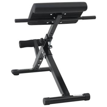 Hyperextensionsbank 120 kg faltbar und verstellbar aus Stahl