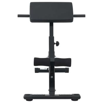 Hyperextensionsbank 120 kg faltbar und verstellbar aus Stahl