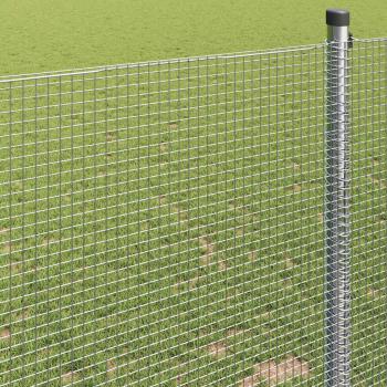 Schweißdrahtzaun 0,8x25 m Verzinkter Stahl