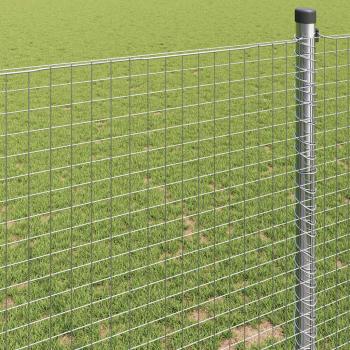geschweißter Drahtzaun 1,4x25 m Feuerverzinkter Stahl