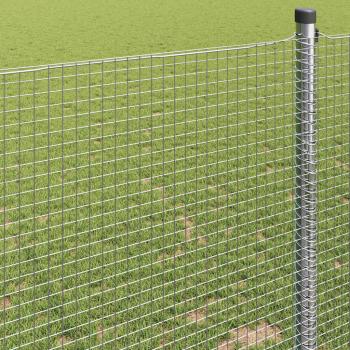 Schweißdrahtzaun 1.2x50 m Verzinkter Stahl