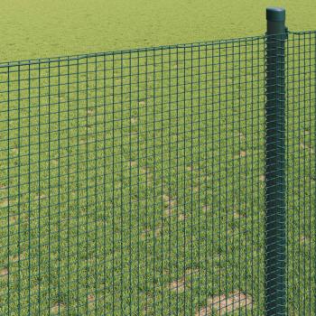 Geschweißter Drahtzaun Grün 1x50 m Stahl