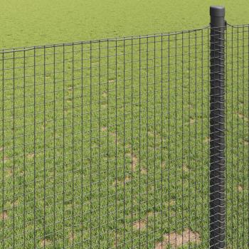 Geschweißter Drahtzaun Grau 0.4x10 m Stahl