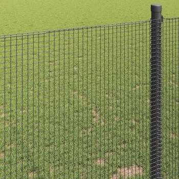 Grau Schweißdrahtzaun 0,6 x 10 m Stahl