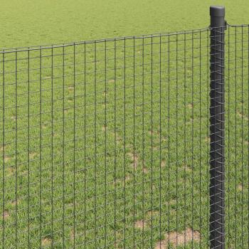 Geschweißter Drahtzaun Grau 0,8x10 m Stahl
