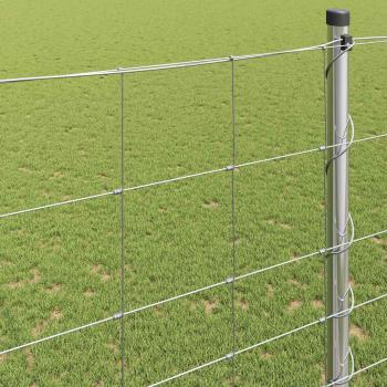 Feldzaun 1.6x10 m Verzinkter Stahl