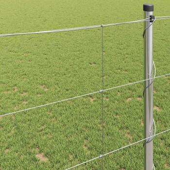 Feldzaun 1,2x25 m Verzinkter Stahl