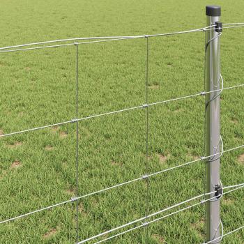 Feldzaun 0.8x50 m Galvanisierter Stahl