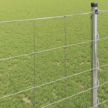 Feldzaun 1,2x50 m Galvanisierter Stahl