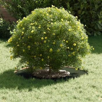 Olivgrüner Pflanzkübel Olivgrün Kunststoff Mittel