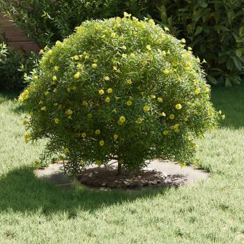 Edelstahlpflanzgefäß Edelstahl Mittel Dekorative Intarsien