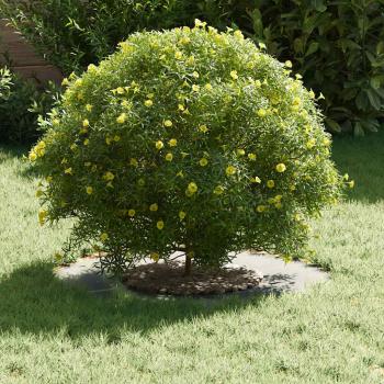 Verzinktes Metallpflanzgefäß Verzinkt Verzinkter Stahl