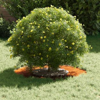 Cortenstahl Pflanzkübel Cortenstahl Groß Stapelbar Zylindrisch