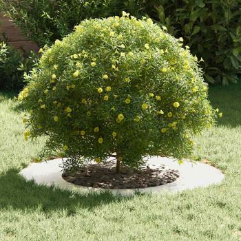 Edelstahl Pflanztopf Edelstahl Groß Langlebig