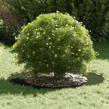 Olivegrünes Pflanzgefäß Olivegrün Kunststoff Groß