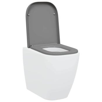 Toilettendeckel mit Schnellverschluss und sanftem Schließen Duroplast Grau