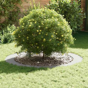 Weiße Pflanzgefäße Weiß Kunststoff Groß Weißes Pflanzgefäß Rund