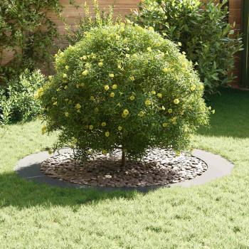 Verzinkter Pflanzer Verzinkt Verzinktes Metall Groß Langlebig