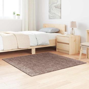 ARDEBO.de - Shaggy Teppich Hochflor Braun 120x120 cm PP
