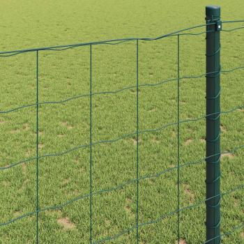 Euro-Zaun Grün 0.4x25 m Stahl