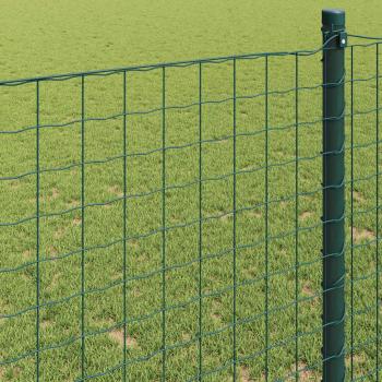 Eurozaun Grün 0.4x50 m Stahl