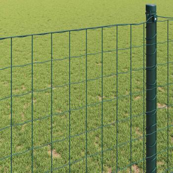 Eurozaun Grün 0.6x50 m Stahl