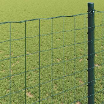 Euro-Zaun Grün 0,4x25 m Stahl