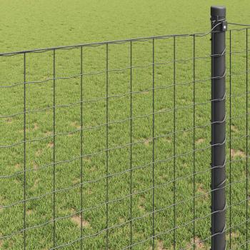 Eurozaun Grau 1x10 m Stahl