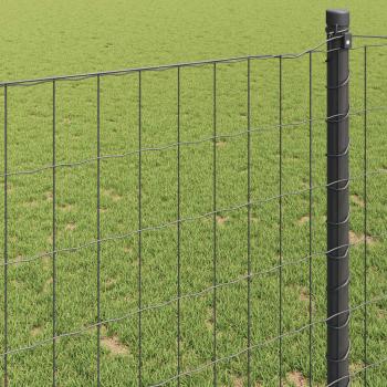 Euro-Zaun Grau 1,4x10 m Stahl