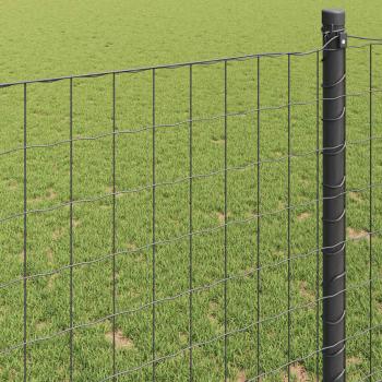 Euro-Zaun Grau 0.6x25 m Stahl