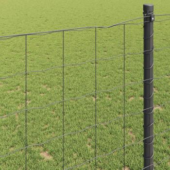 Euro Zaun Grau 0.6x25 m Stahl