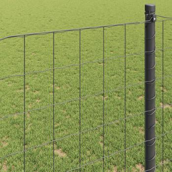 Euro Zaun Grau 0.4x50 m Stahl