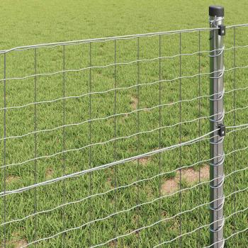 Euro Zaun 0,6 x 25 m Verzinkter Stahl