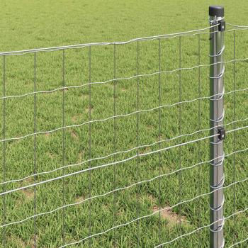 Euro-Zaun 0,4x50 m Verzinkter Stahl