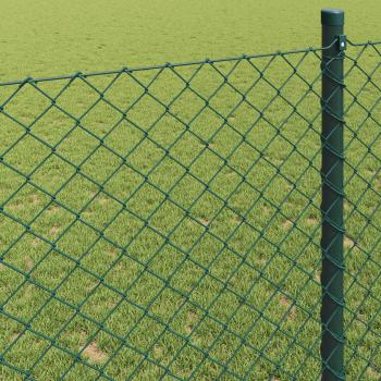 Kettengliedzaun Grün 0,6x25 m Stahl