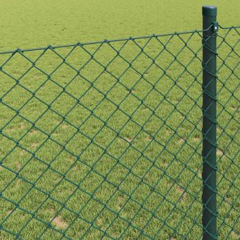Kettenzaun Grün 0.8x25 m Stahl