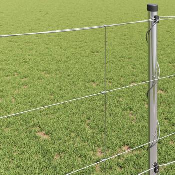 ARDEBO.de - Feldzaun 1x10 m Verzinkter Stahl