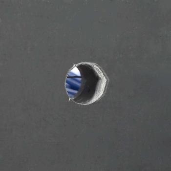 Viehbürsten Wandmontiert 50x10x6.5 cm