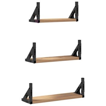 3-teiliges Wandregalset aus Eiche Artisan