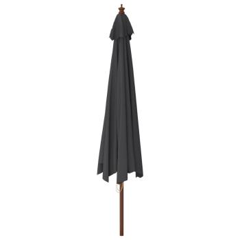 Sonnenschirm mit Holzmast Schwarz 400x273 cm