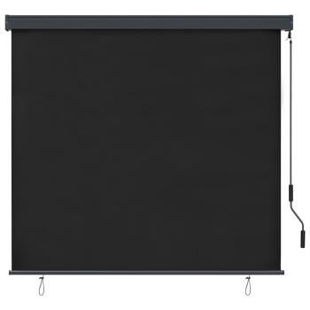 Außenrollo 170 x 250 cm Anthrazit