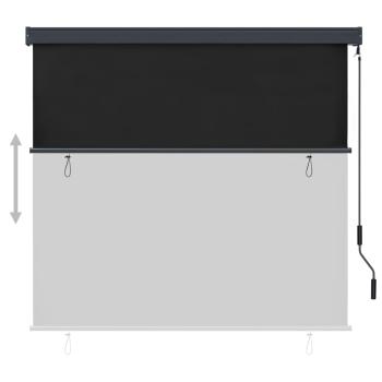 Außenrollo 170 x 250 cm Anthrazit