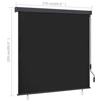Außenrollo 170 x 250 cm Anthrazit