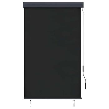 Außenrollo 100 x 250 cm Anthrazit