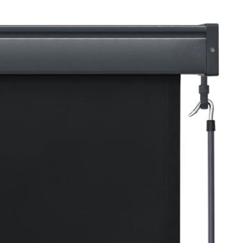 Außenrollo 100 x 250 cm Anthrazit