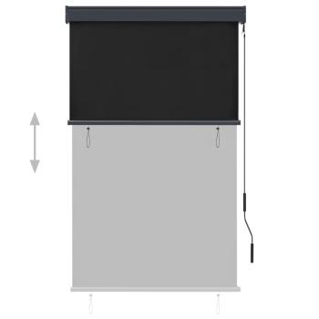 Außenrollo 100 x 250 cm Anthrazit