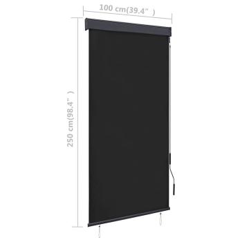 Außenrollo 100 x 250 cm Anthrazit