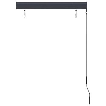 Außenrollo 100 x 250 cm Anthrazit