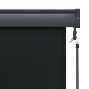 Außenrollo 100 x 250 cm Anthrazit